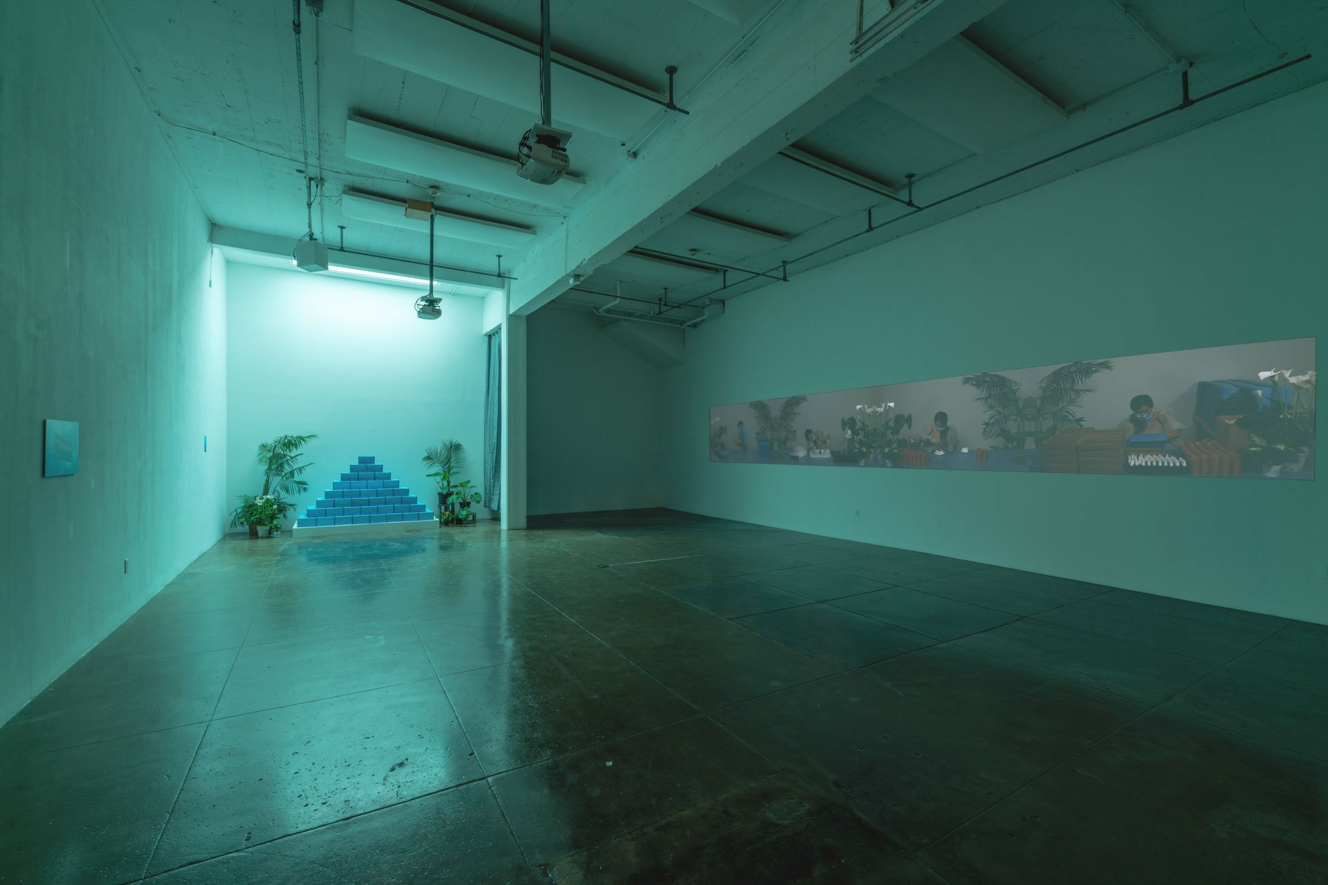 Wide installation view of a dim green-lit gallery with video projections, plants, and a pyramid-shaped stack of blue boxes.